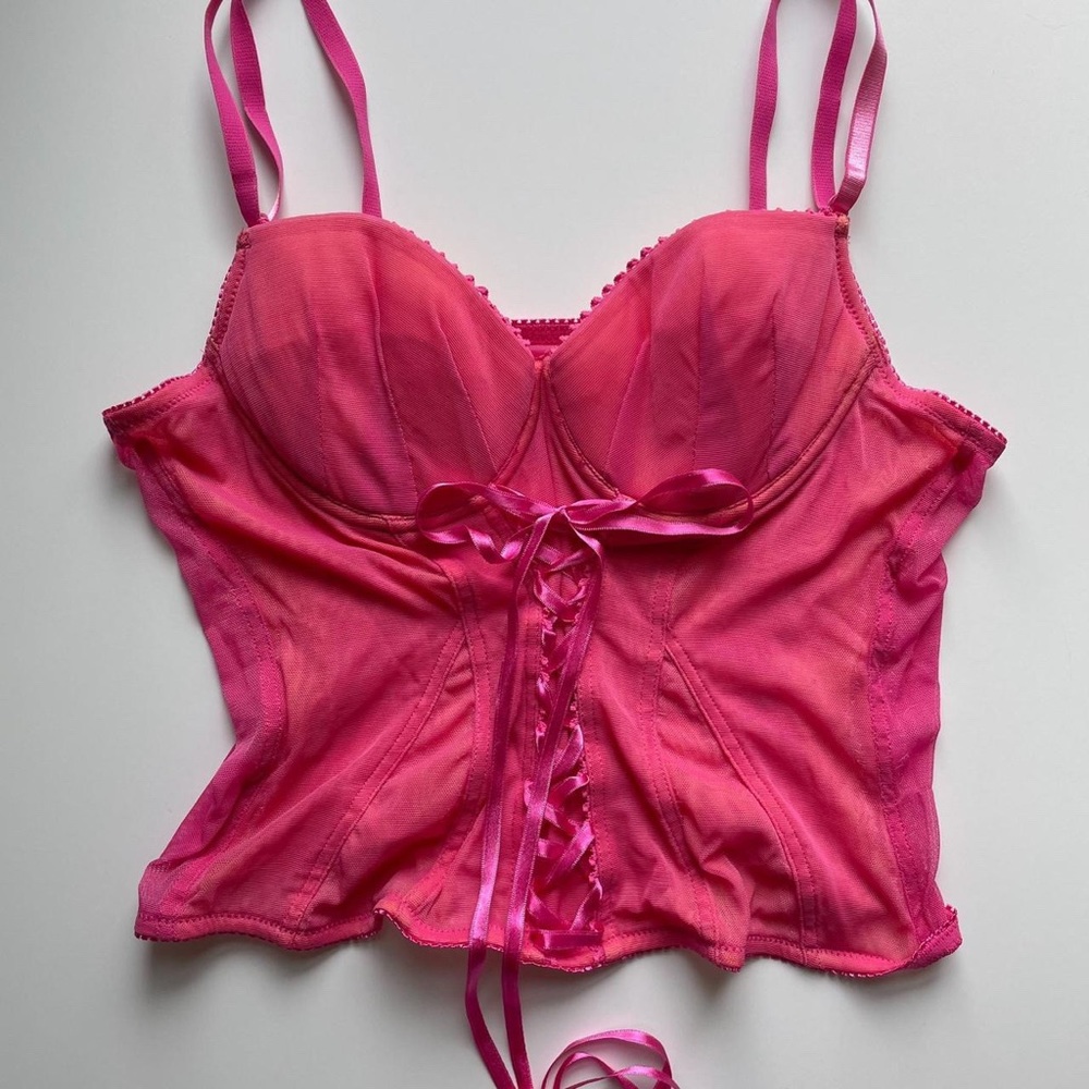 Vintage Pink Mesh Ribbon Corset Bustier